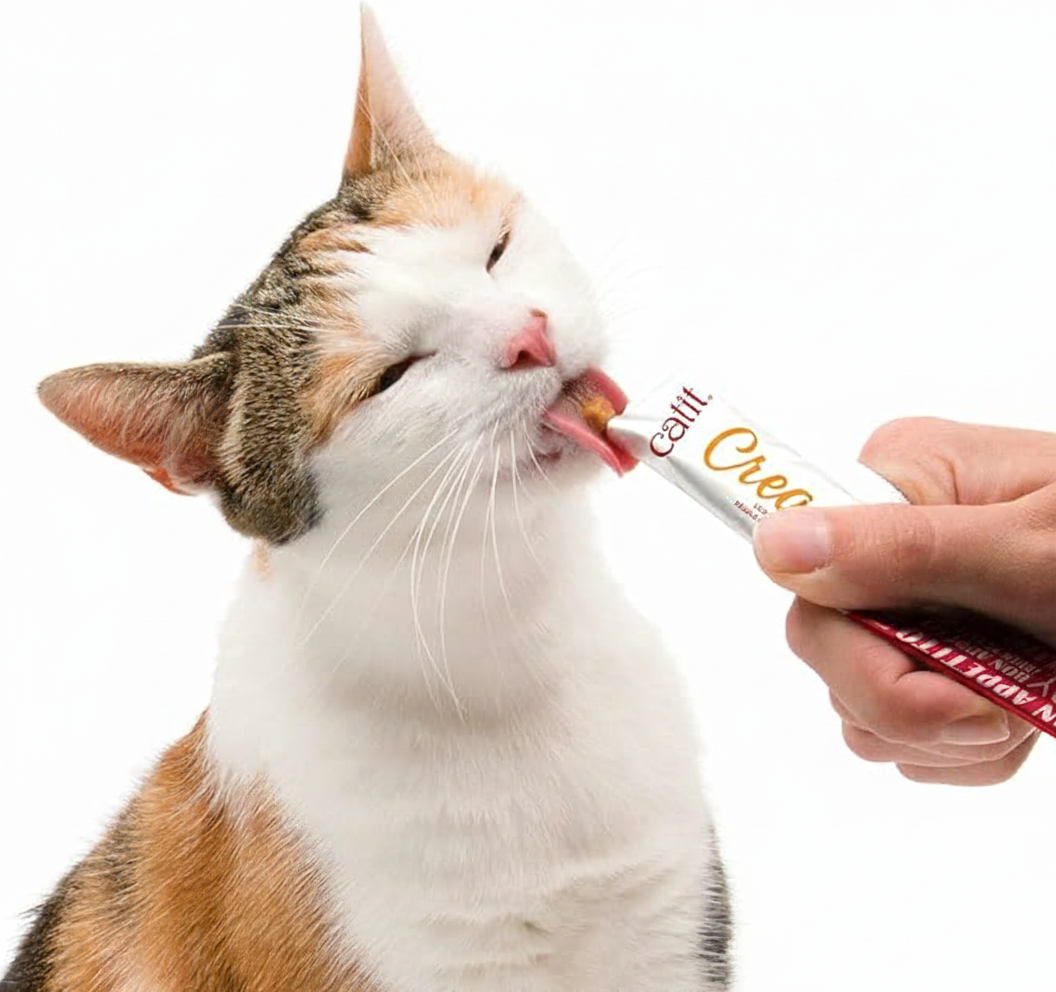 Cat Treats